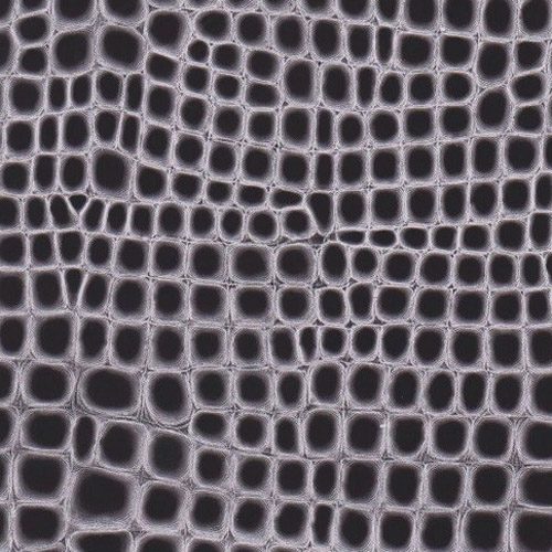 Metallic Transfer Foil For Fabric