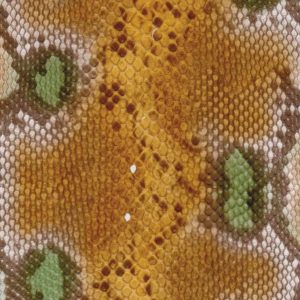 Heat Transfer Film