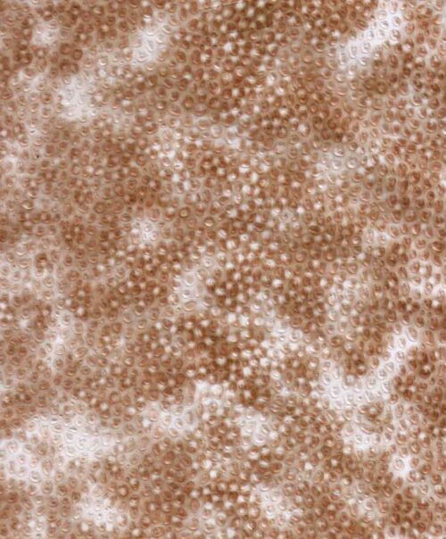 Gold Transfer Foil For Fabric