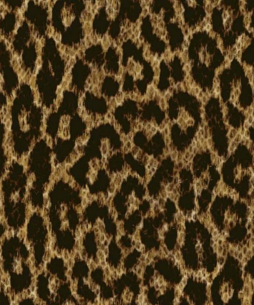 Gold Foil